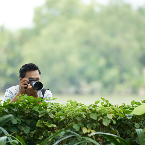 ¿Cómo ser Detective Privado?